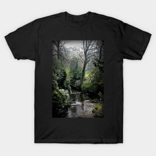 Spring in the Dene T-Shirt